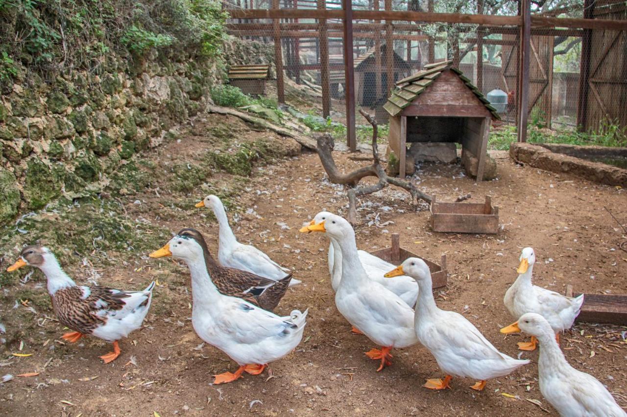 Le Cinque Pietre Villa Carlentini Buitenkant foto